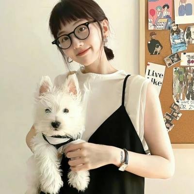刑事侦缉档案